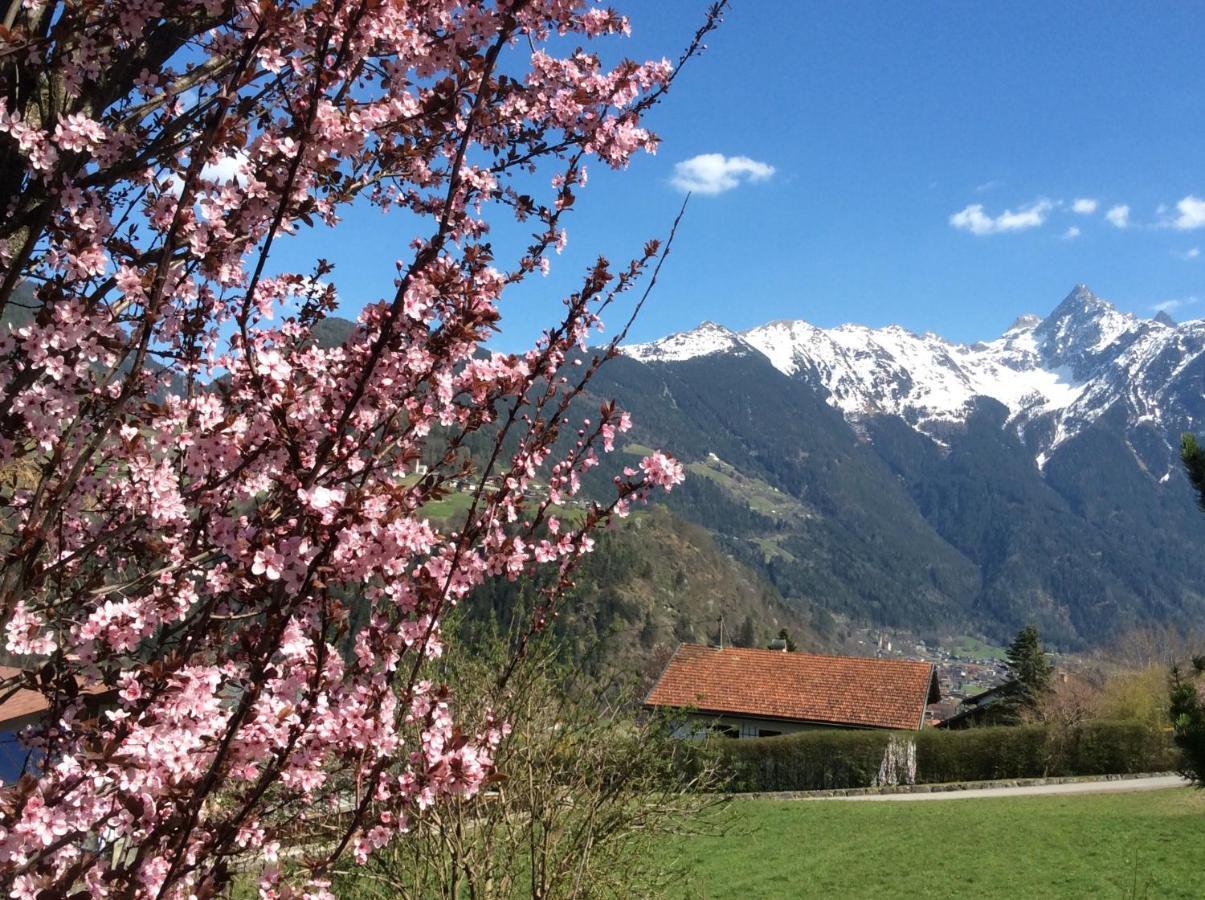 Comfortable Apartment In A Beautiful Surrounding Sautens Dış mekan fotoğraf